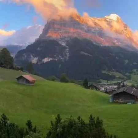 Apartament Barbara By Interhome Grindelwald