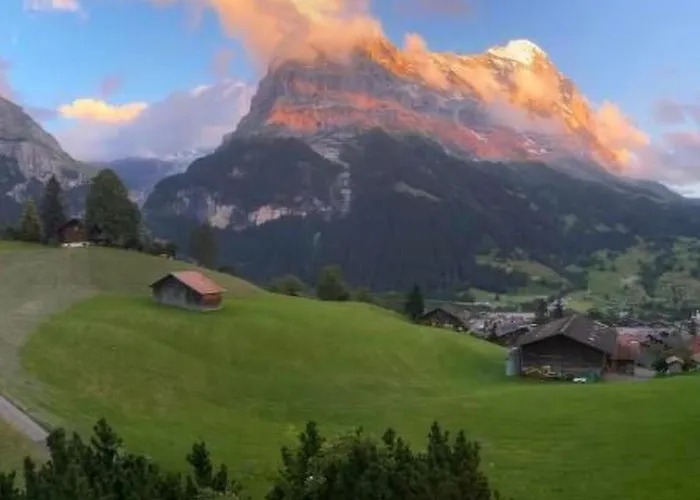 Apartman Barbara By Interhome Grindelwald