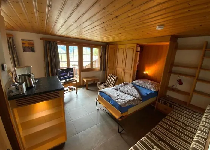 Barbara By Interhome גרינדלוולד